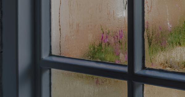 Damp And Mould
