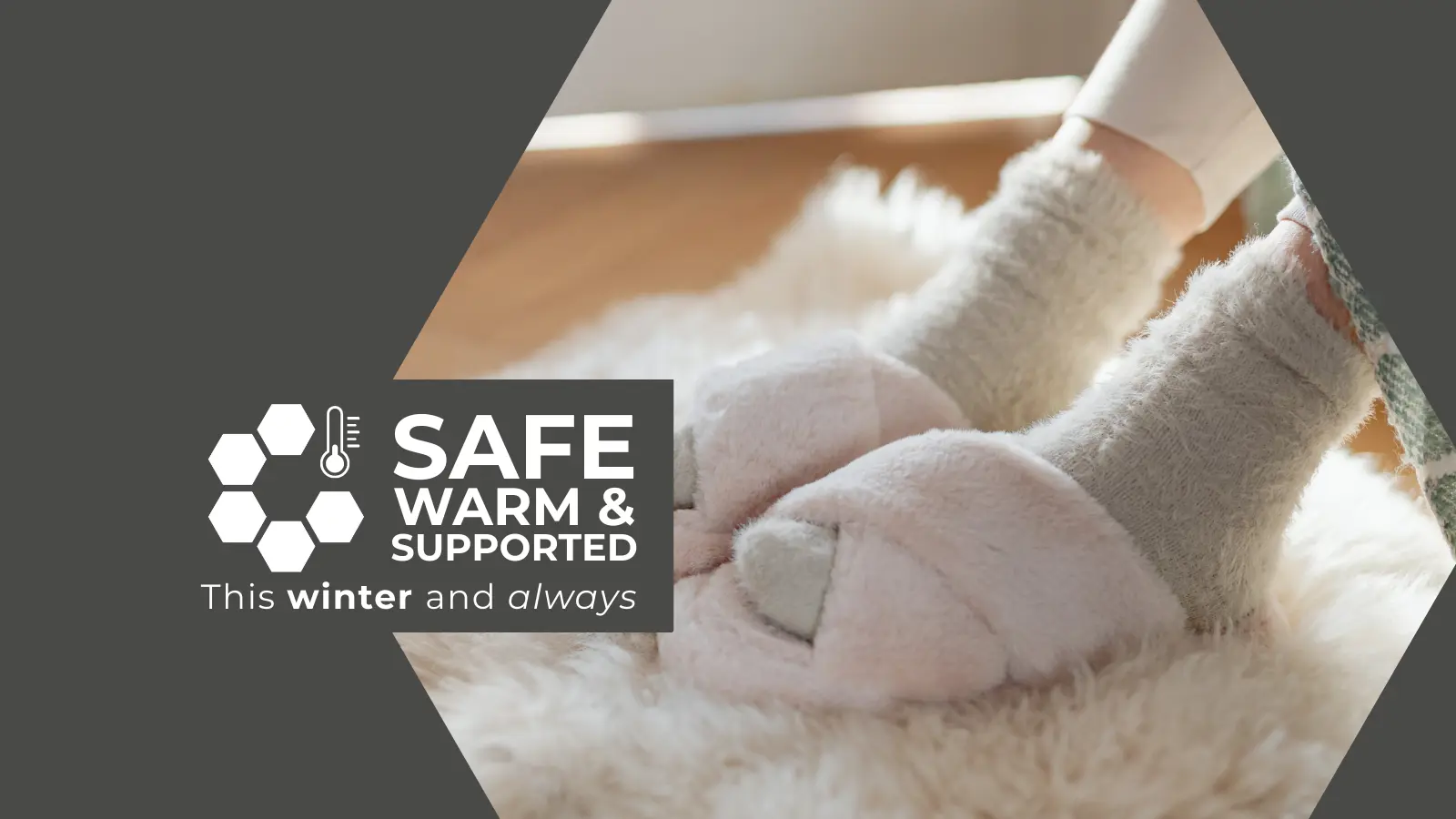 Winter Safety Website Header Images (3)
