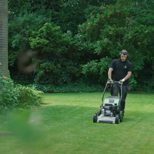 Mowing The Lawn SH Mowing The Lawn SH