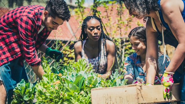Young People In The Garden
